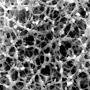 7404_Membranequerschnitt