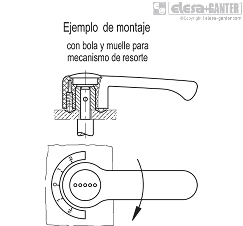 ELCR_ACC_EXAMPLE_EN_ES