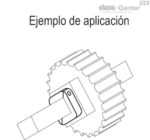ANPS_Q_ACC_EXAMPLE_ES