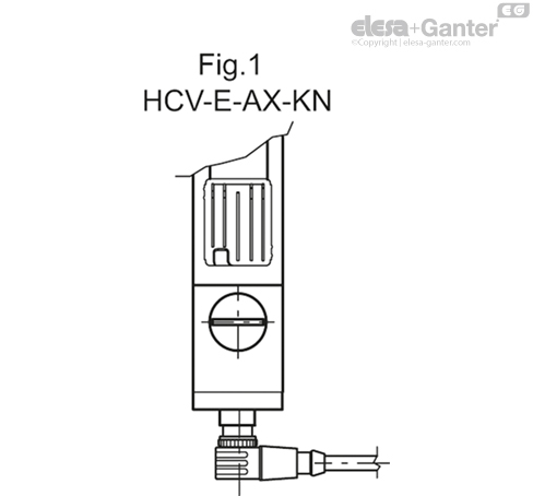 HCV_E_AX_FIG1_ES