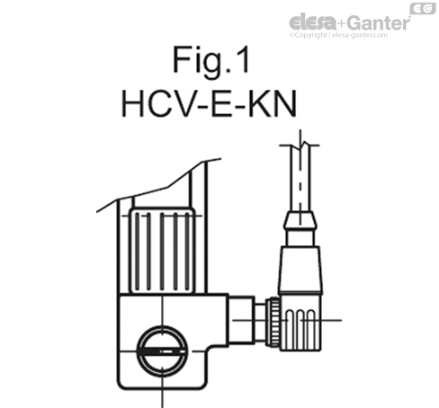 HCV_E_FIG1_ES