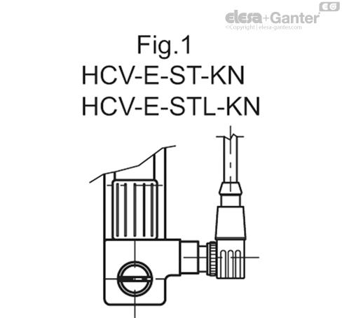 HCV_E_S_FIG1_ES