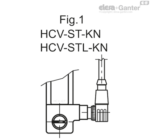 HCV_S_FIG1_ES