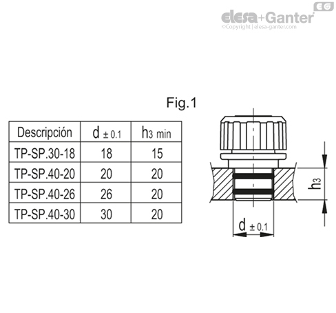 TP_SP_MOUNT_EXAMPLE_ES